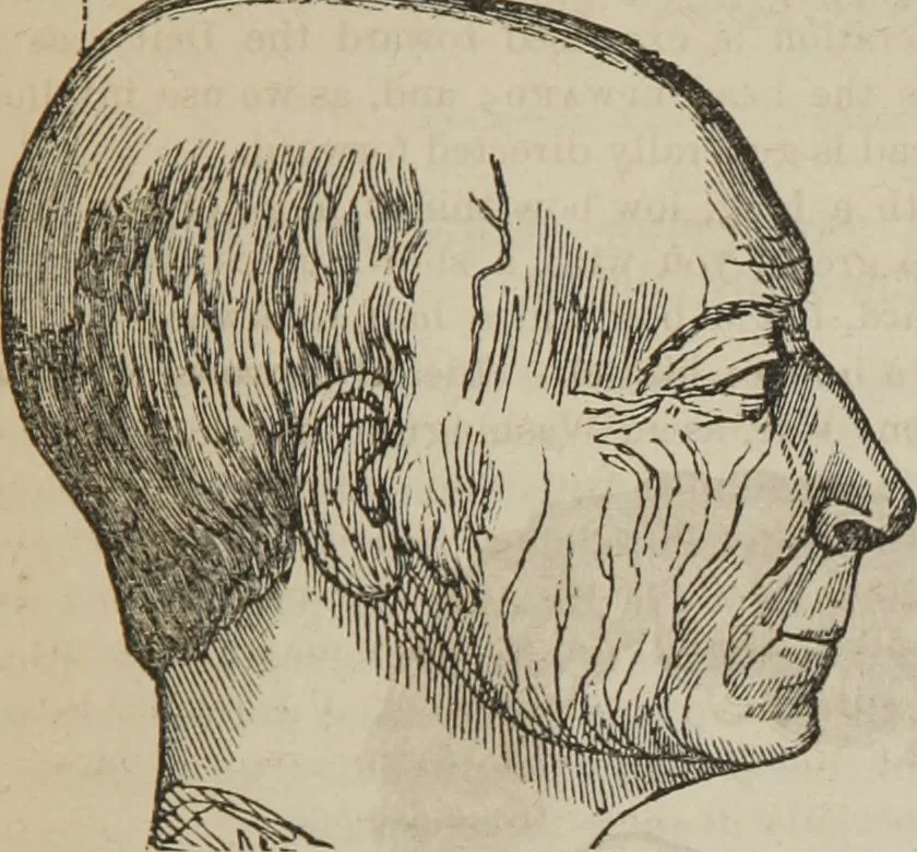 An illustration from The illustrated self-instructor in phrenology and physiology : with over one hundred engravings : together with the chart and character of ... as marked by ..., 1859, leaf 72