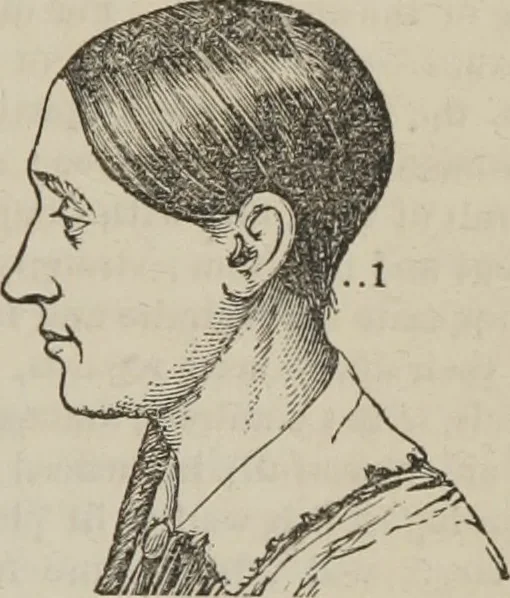 An illustration from The illustrated self-instructor in phrenology and physiology : with over one hundred engravings : together with the chart and character of ... as marked by ..., 1859, leaf 78