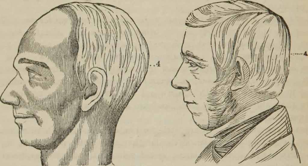 An illustration from The illustrated self-instructor in phrenology and physiology : with over one hundred engravings : together with the chart and character of ... as marked by ..., 1859, leaf 89