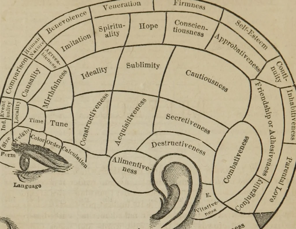 An illustration from The illustrated self-instructor in phrenology and physiology : with over one hundred engravings : together with the chart and character of ... as marked by ..., 1859, leaf 9