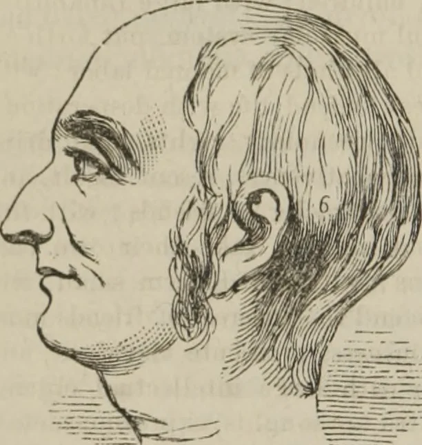An illustration from The illustrated self-instructor in phrenology and physiology : with over one hundred engravings : together with the chart and character of ... as marked by ..., 1859, leaf 95