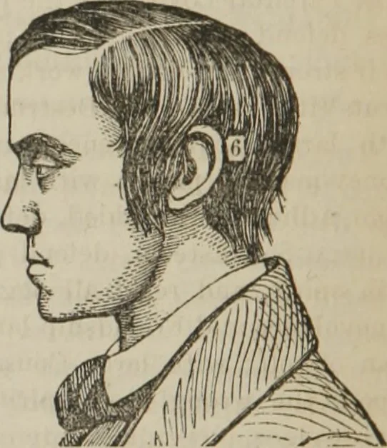 An illustration from The illustrated self-instructor in phrenology and physiology : with over one hundred engravings : together with the chart and character of ... as marked by ..., 1859, leaf 95