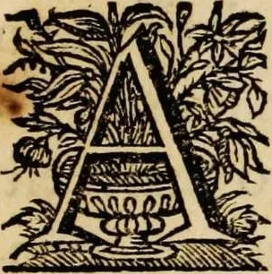 An illustration from Sacrum oratorium piarum imaginum immaculatae Mariae et animae creatae ac baptismo, poenitentia, et eucharistia innouatae [electronic resource]: ars noua bene viuendi et moriendi, sacris piarum imaginum emblematis figurata & illustrata, 1634, leaf 147