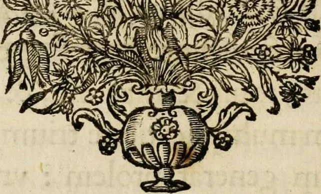 An illustration from Sacrum oratorium piarum imaginum immaculatae Mariae et animae creatae ac baptismo, poenitentia, et eucharistia innouatae [electronic resource]: ars noua bene viuendi et moriendi, sacris piarum imaginum emblematis figurata & illustrata, 1634, leaf 164