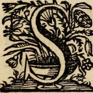 An illustration from Sacrum oratorium piarum imaginum immaculatae Mariae et animae creatae ac baptismo, poenitentia, et eucharistia innouatae [electronic resource]: ars noua bene viuendi et moriendi, sacris piarum imaginum emblematis figurata & illustrata, 1634, leaf 167