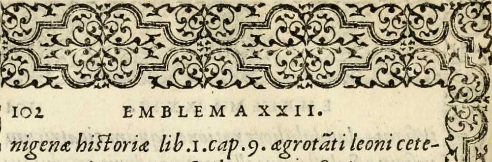 An illustration from Hadriani Iunii medici Emblemata, ad D. Arnoldum Cobelium [electronic resource]: eiusdem Aenigmatum libellus, ad D. Arnoldum Rosenbergum, 1565, leaf 108