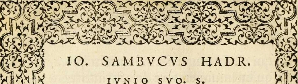 An illustration from Hadriani Iunii medici Emblemata, ad D. Arnoldum Cobelium [electronic resource]: eiusdem Aenigmatum libellus, ad D. Arnoldum Rosenbergum, 1565, leaf 12