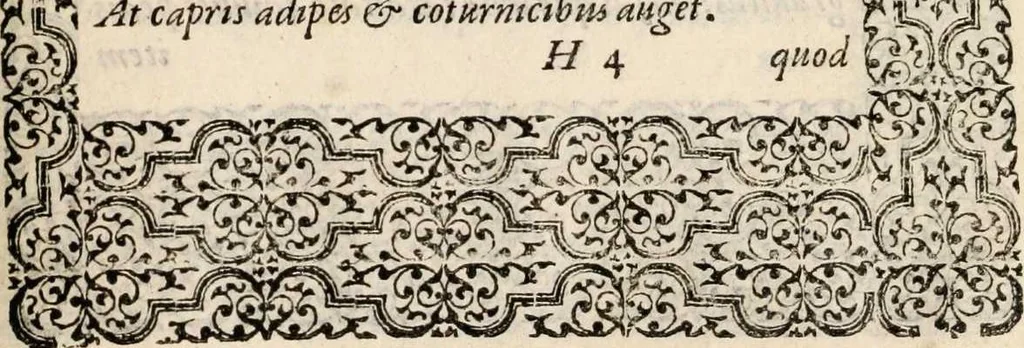 An illustration from Hadriani Iunii medici Emblemata, ad D. Arnoldum Cobelium [electronic resource]: eiusdem Aenigmatum libellus, ad D. Arnoldum Rosenbergum, 1565, leaf 125