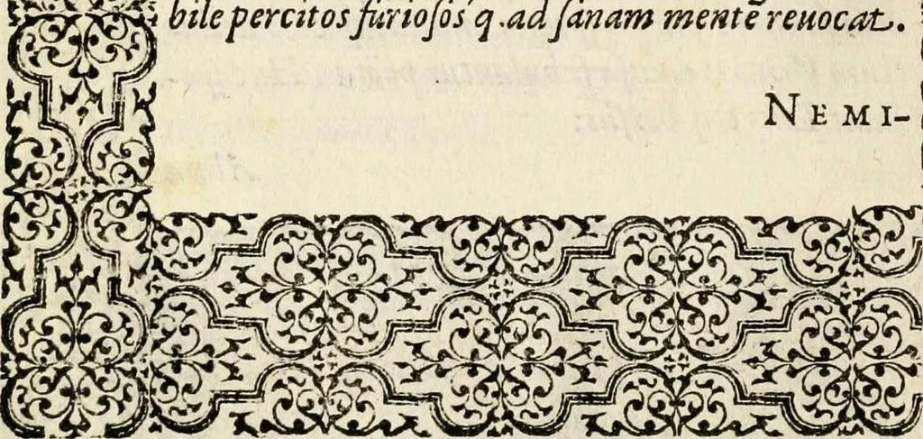 An illustration from Hadriani Iunii medici Emblemata, ad D. Arnoldum Cobelium [electronic resource]: eiusdem Aenigmatum libellus, ad D. Arnoldum Rosenbergum, 1565, leaf 132