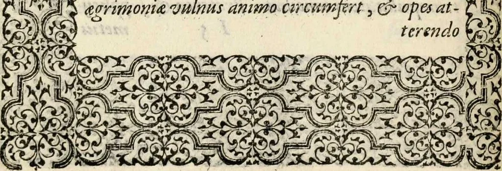 An illustration from Hadriani Iunii medici Emblemata, ad D. Arnoldum Cobelium [electronic resource]: eiusdem Aenigmatum libellus, ad D. Arnoldum Rosenbergum, 1565, leaf 144