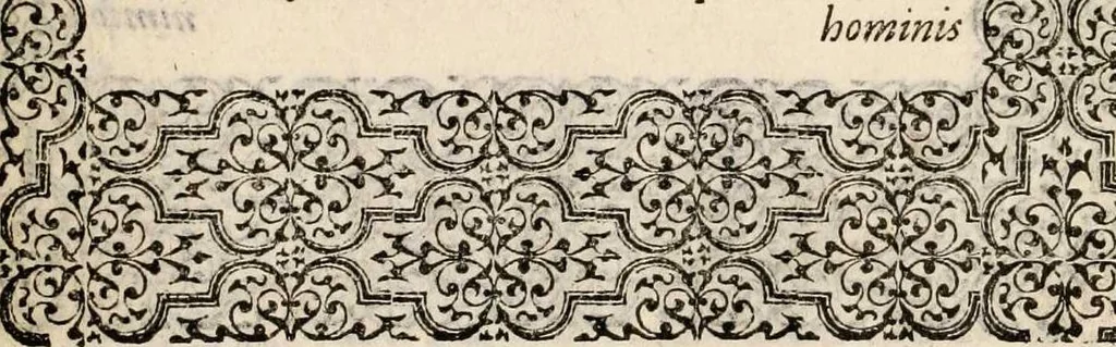 An illustration from Hadriani Iunii medici Emblemata, ad D. Arnoldum Cobelium [electronic resource]: eiusdem Aenigmatum libellus, ad D. Arnoldum Rosenbergum, 1565, leaf 145