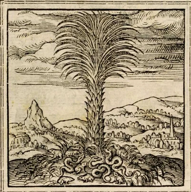 An illustration from Hadriani Iunii medici Emblemata, ad D. Arnoldum Cobelium [electronic resource]: eiusdem Aenigmatum libellus, ad D. Arnoldum Rosenbergum, 1565, leaf 21