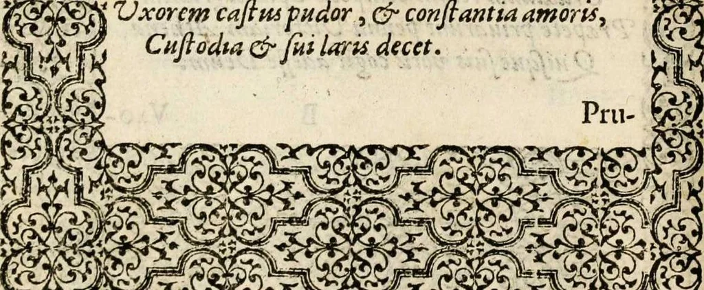 An illustration from Hadriani Iunii medici Emblemata, ad D. Arnoldum Cobelium [electronic resource]: eiusdem Aenigmatum libellus, ad D. Arnoldum Rosenbergum, 1565, leaf 24