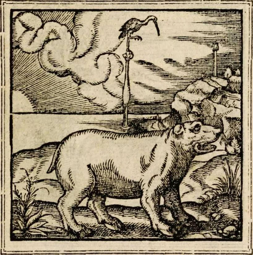 An illustration from Hadriani Iunii medici Emblemata, ad D. Arnoldum Cobelium [electronic resource]: eiusdem Aenigmatum libellus, ad D. Arnoldum Rosenbergum, 1565, leaf 29