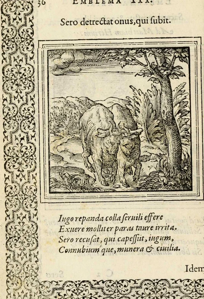 An illustration from Hadriani Iunii medici Emblemata, ad D. Arnoldum Cobelium [electronic resource]: eiusdem Aenigmatum libellus, ad D. Arnoldum Rosenbergum, 1565, leaf 42