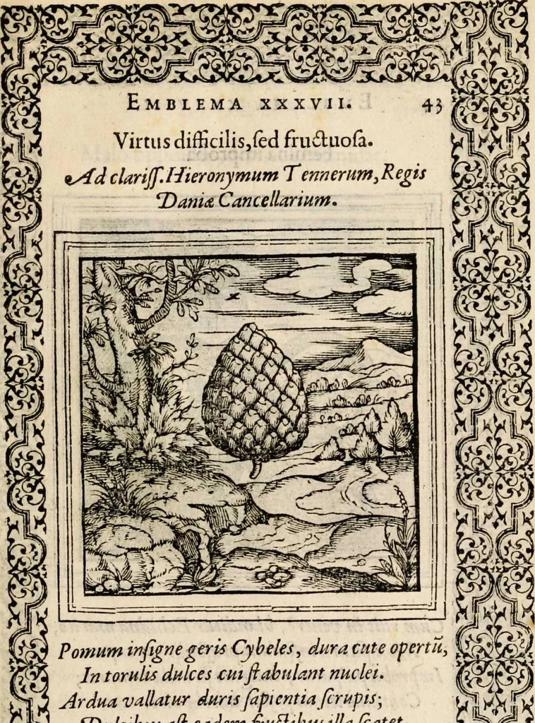 An illustration from Hadriani Iunii medici Emblemata, ad D. Arnoldum Cobelium [electronic resource]: eiusdem Aenigmatum libellus, ad D. Arnoldum Rosenbergum, 1565, leaf 49