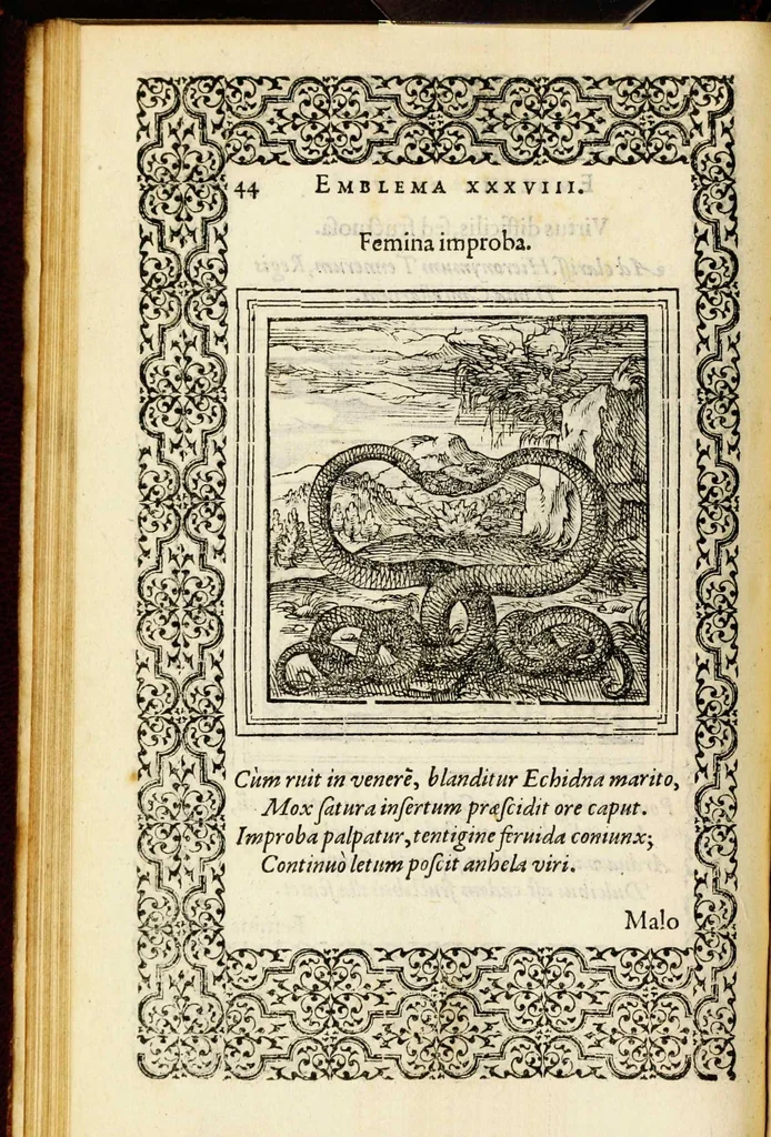 An illustration from Hadriani Iunii medici Emblemata, ad D. Arnoldum Cobelium [electronic resource]: eiusdem Aenigmatum libellus, ad D. Arnoldum Rosenbergum, 1565, leaf 50