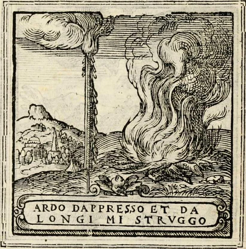 An illustration from Hadriani Iunii medici Emblemata, ad D. Arnoldum Cobelium [electronic resource]: eiusdem Aenigmatum libellus, ad D. Arnoldum Rosenbergum, 1565, leaf 52
