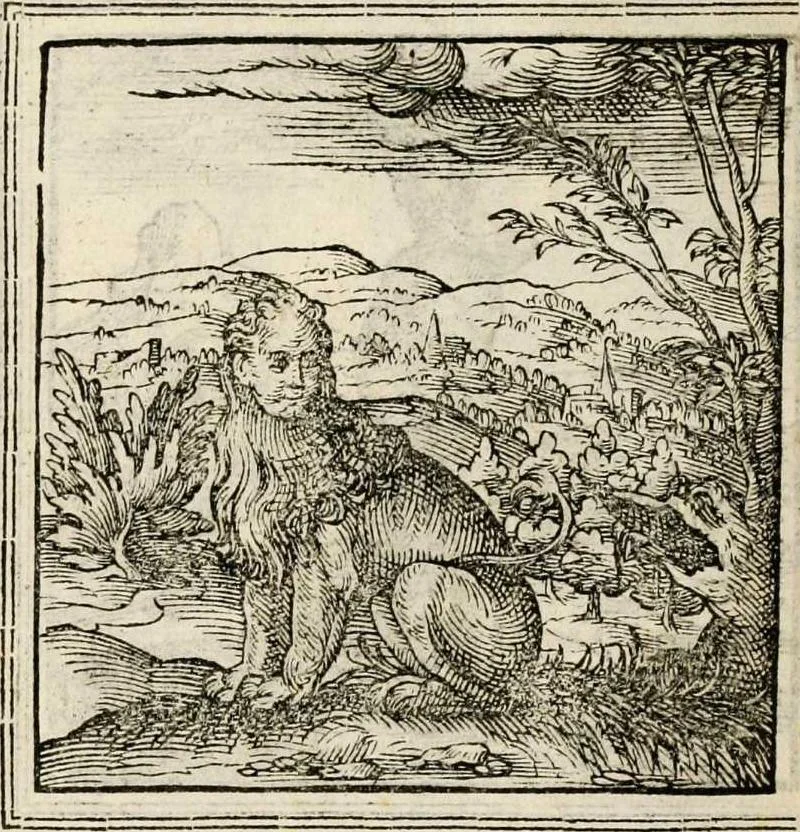 An illustration from Hadriani Iunii medici Emblemata, ad D. Arnoldum Cobelium [electronic resource]: eiusdem Aenigmatum libellus, ad D. Arnoldum Rosenbergum, 1565, leaf 54