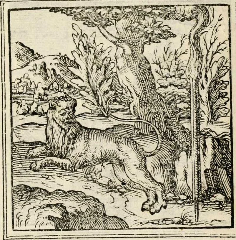 An illustration from Hadriani Iunii medici Emblemata, ad D. Arnoldum Cobelium [electronic resource]: eiusdem Aenigmatum libellus, ad D. Arnoldum Rosenbergum, 1565, leaf 58