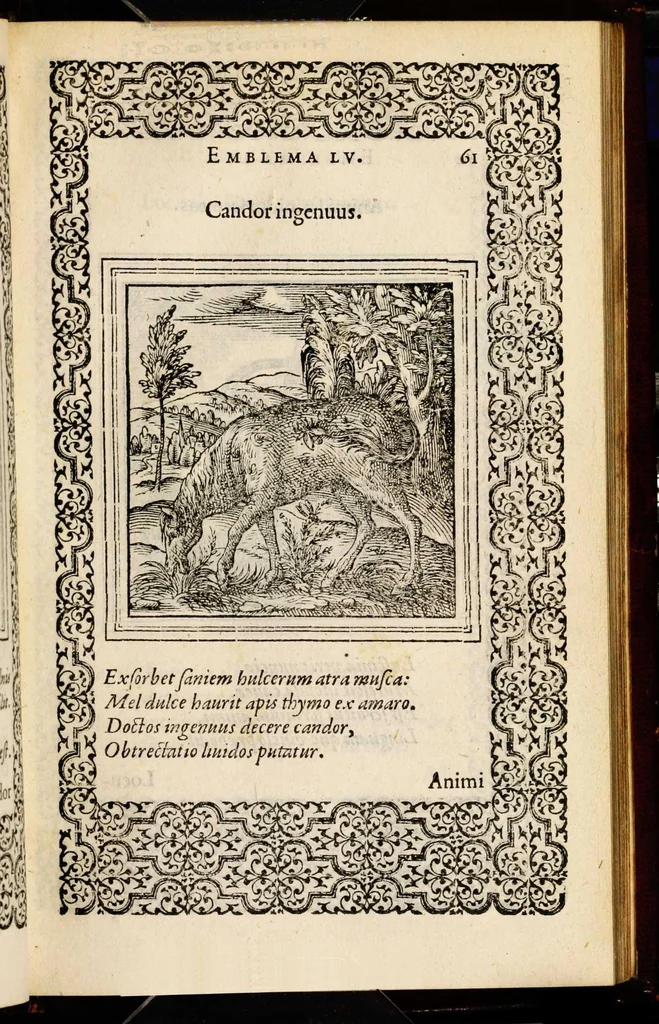 An illustration from Hadriani Iunii medici Emblemata, ad D. Arnoldum Cobelium [electronic resource]: eiusdem Aenigmatum libellus, ad D. Arnoldum Rosenbergum, 1565, leaf 67