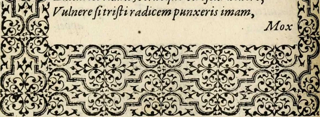 An illustration from Hadriani Iunii medici Emblemata, ad D. Arnoldum Cobelium [electronic resource]: eiusdem Aenigmatum libellus, ad D. Arnoldum Rosenbergum, 1565, leaf 86