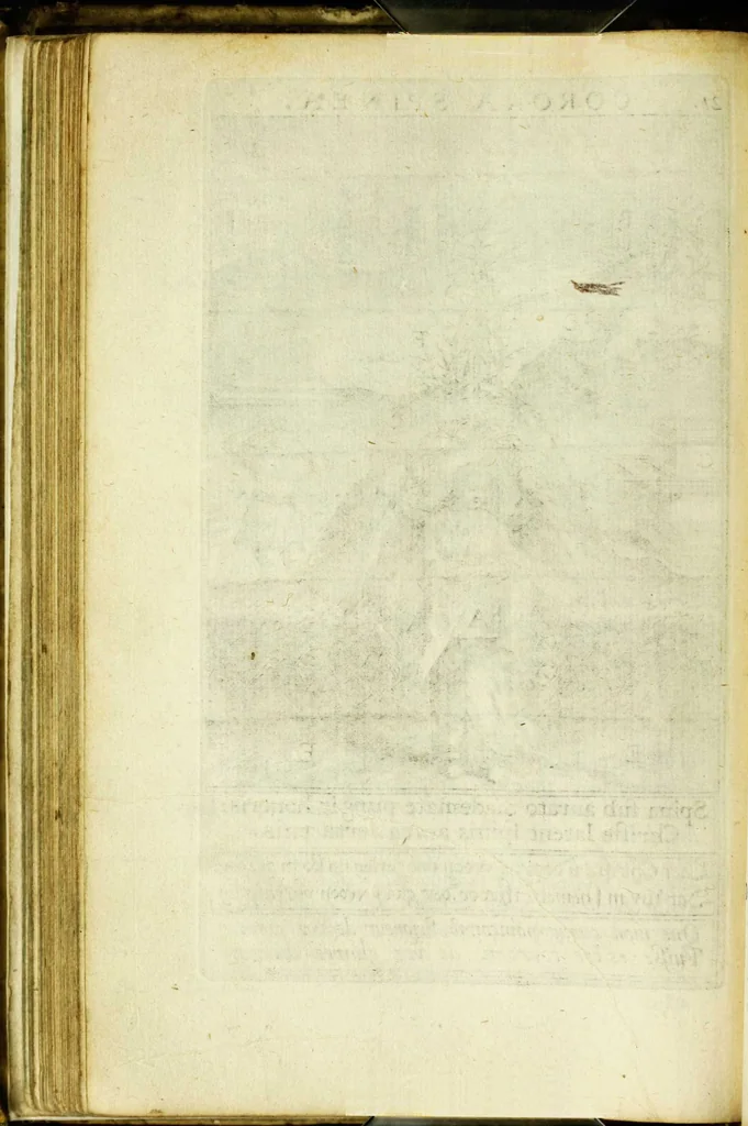 An illustration from Paradisus sponsi et sponsae in quo messis myrrhae et aromatum ex instrumentis ac mysterijs passionis Christi colligenda, vt ei commoriamur : et, Pancarpium Marianum, septemplici titulorum serie distinctum, vt in B. Virginis odorem curramus, et Christus formetur in nobis, 1618, leaf 146