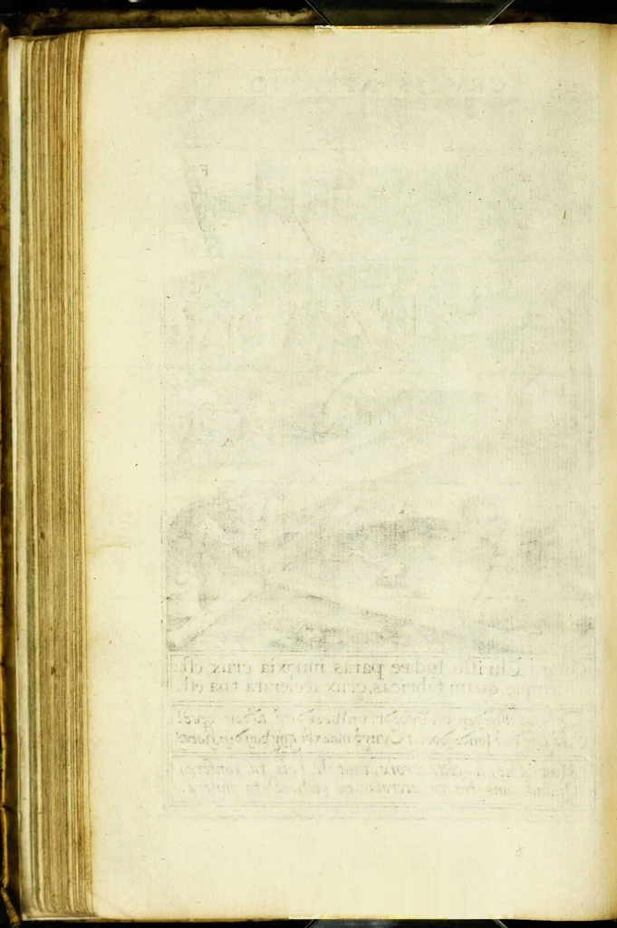 An illustration from Paradisus sponsi et sponsae in quo messis myrrhae et aromatum ex instrumentis ac mysterijs passionis Christi colligenda, vt ei commoriamur : et, Pancarpium Marianum, septemplici titulorum serie distinctum, vt in B. Virginis odorem curramus, et Christus formetur in nobis, 1618, leaf 182