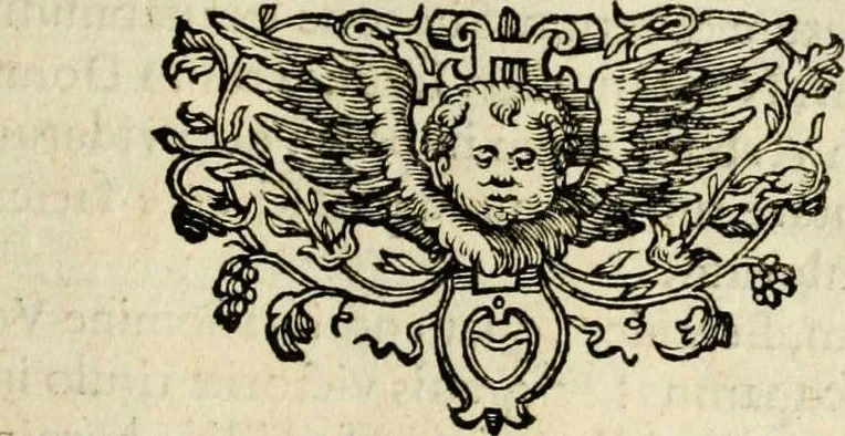 An illustration from Paradisus sponsi et sponsae in quo messis myrrhae et aromatum ex instrumentis ac mysterijs passionis Christi colligenda, vt ei commoriamur : et, Pancarpium Marianum, septemplici titulorum serie distinctum, vt in B. Virginis odorem curramus, et Christus formetur in nobis, 1618, leaf 203