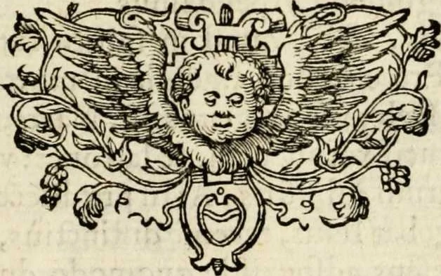 An illustration from Paradisus sponsi et sponsae in quo messis myrrhae et aromatum ex instrumentis ac mysterijs passionis Christi colligenda, vt ei commoriamur : et, Pancarpium Marianum, septemplici titulorum serie distinctum, vt in B. Virginis odorem curramus, et Christus formetur in nobis, 1618, leaf 239