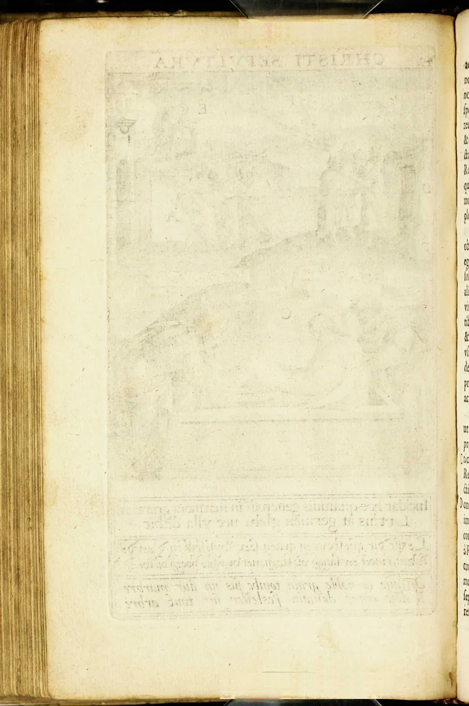 An illustration from Paradisus sponsi et sponsae in quo messis myrrhae et aromatum ex instrumentis ac mysterijs passionis Christi colligenda, vt ei commoriamur : et, Pancarpium Marianum, septemplici titulorum serie distinctum, vt in B. Virginis odorem curramus, et Christus formetur in nobis, 1618, leaf 314