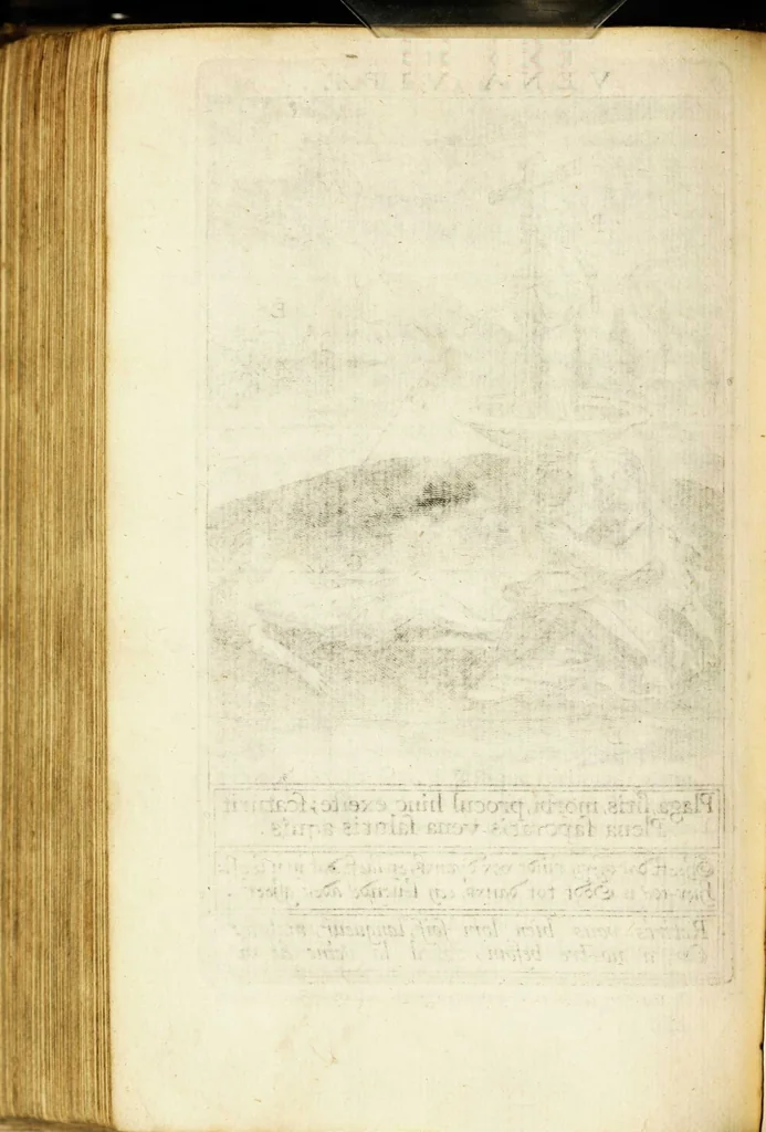 An illustration from Paradisus sponsi et sponsae in quo messis myrrhae et aromatum ex instrumentis ac mysterijs passionis Christi colligenda, vt ei commoriamur : et, Pancarpium Marianum, septemplici titulorum serie distinctum, vt in B. Virginis odorem curramus, et Christus formetur in nobis, 1618, leaf 412