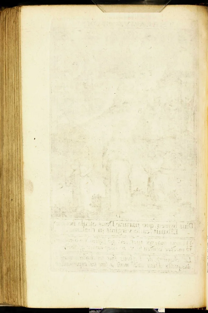 An illustration from Paradisus sponsi et sponsae in quo messis myrrhae et aromatum ex instrumentis ac mysterijs passionis Christi colligenda, vt ei commoriamur : et, Pancarpium Marianum, septemplici titulorum serie distinctum, vt in B. Virginis odorem curramus, et Christus formetur in nobis, 1618, leaf 568