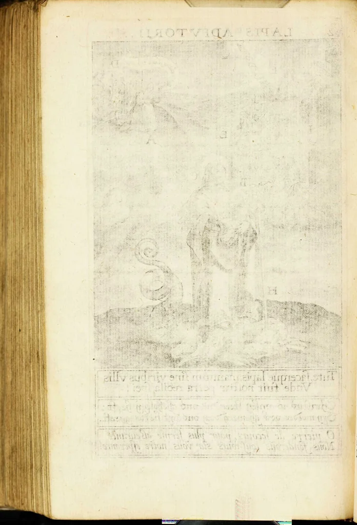 An illustration from Paradisus sponsi et sponsae in quo messis myrrhae et aromatum ex instrumentis ac mysterijs passionis Christi colligenda, vt ei commoriamur : et, Pancarpium Marianum, septemplici titulorum serie distinctum, vt in B. Virginis odorem curramus, et Christus formetur in nobis, 1618, leaf 610