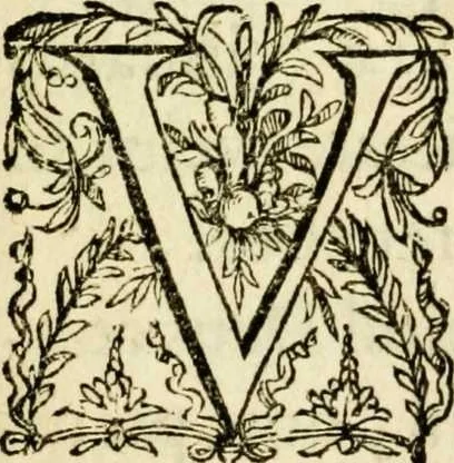 An illustration from Paradisus sponsi et sponsae in quo messis myrrhae et aromatum ex instrumentis ac mysterijs passionis Christi colligenda, vt ei commoriamur : et, Pancarpium Marianum, septemplici titulorum serie distinctum, vt in B. Virginis odorem curramus, et Christus formetur in nobis, 1618, leaf 9