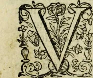 An illustration from Paradisus sponsi et sponsae: in quo messis myrrhae et aromatum ex instrumentis ac mysterijs passionis Christi colligenda, vt ei commoriamur : et, Pancarpium Marianum, septemplici titulorum serie distinctum, vt in B. Virginis odorem curramus, et Christus formetur in nobis, 1618, leaf 25