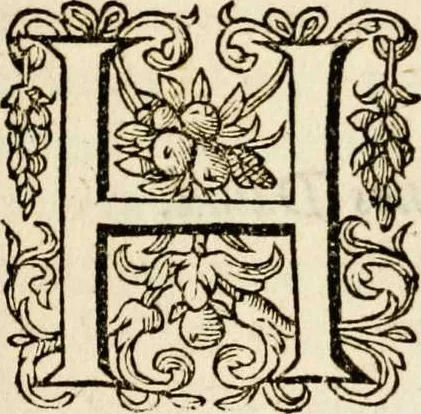An illustration from Paradisus sponsi et sponsae: in quo messis myrrhae et aromatum ex instrumentis ac mysterijs passionis Christi colligenda, vt ei commoriamur : et, Pancarpium Marianum, septemplici titulorum serie distinctum, vt in B. Virginis odorem curramus, et Christus formetur in nobis, 1618, leaf 341