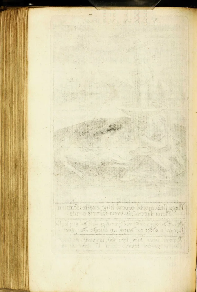 An illustration from Paradisus sponsi et sponsae: in quo messis myrrhae et aromatum ex instrumentis ac mysterijs passionis Christi colligenda, vt ei commoriamur : et, Pancarpium Marianum, septemplici titulorum serie distinctum, vt in B. Virginis odorem curramus, et Christus formetur in nobis, 1618, leaf 412