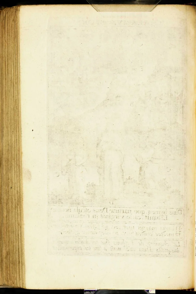 An illustration from Paradisus sponsi et sponsae: in quo messis myrrhae et aromatum ex instrumentis ac mysterijs passionis Christi colligenda, vt ei commoriamur : et, Pancarpium Marianum, septemplici titulorum serie distinctum, vt in B. Virginis odorem curramus, et Christus formetur in nobis, 1618, leaf 568