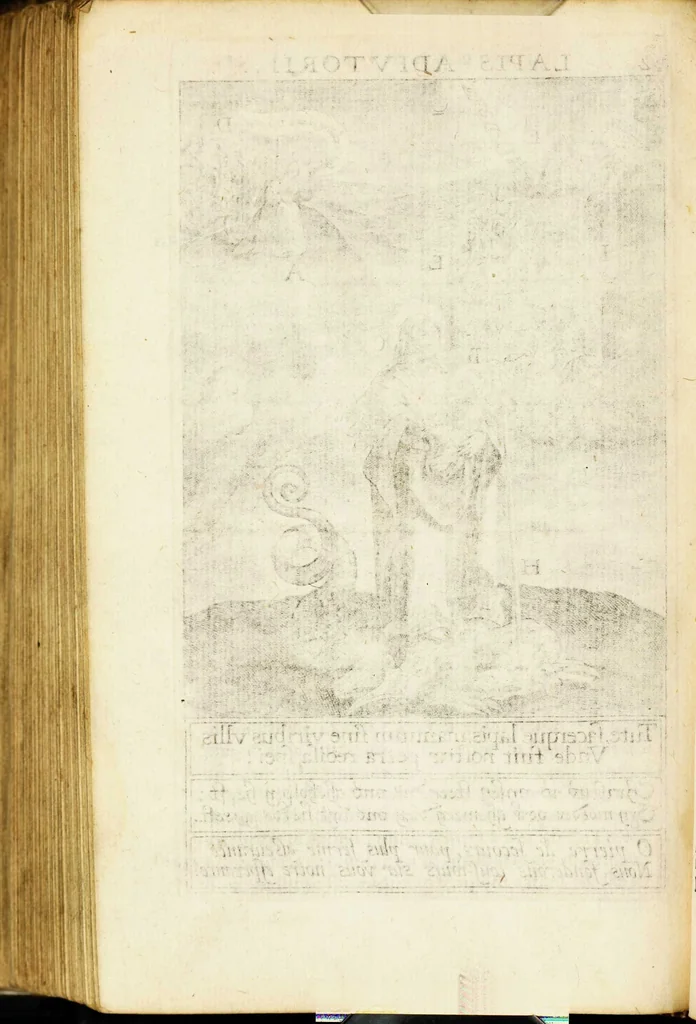 An illustration from Paradisus sponsi et sponsae: in quo messis myrrhae et aromatum ex instrumentis ac mysterijs passionis Christi colligenda, vt ei commoriamur : et, Pancarpium Marianum, septemplici titulorum serie distinctum, vt in B. Virginis odorem curramus, et Christus formetur in nobis, 1618, leaf 610