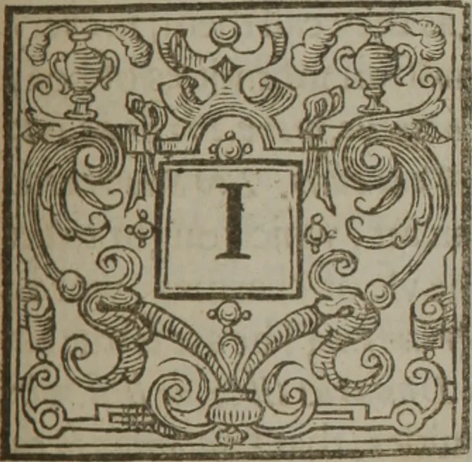 An illustration from The anatomy of melancholy : what it is, with all the kinds causes, symptomes, prognostickes, & seuerall cures of it ; in three partitions, with their severall sections, members & subsections ; philosophically, medicinally, historically, opened & cut up, 1628, leaf 312
