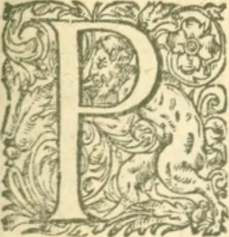 An illustration from Placitum magni consilii pro gallicana Benedictorum congregatione, aduersus Maioris. Monasterij monachos, 1606, leaf 329