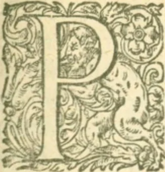 An illustration from Placitum magni consilii pro gallicana Benedictorum congregatione, aduersus Maioris. Monasterij monachos, 1606, leaf 329