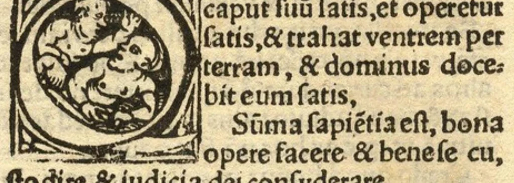 An illustration from Sententiae vere aureae... Aegidii Assisinatis, omnibus ad christianam perfectionem aspirantibus utilissimae..., 1534, leaf 40