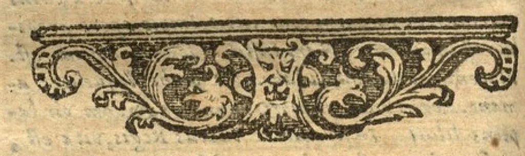 An illustration from Contra libellum Calvini in quo ostendere conatur hæreticos jure gladii coercendos esse, 1612, leaf 241