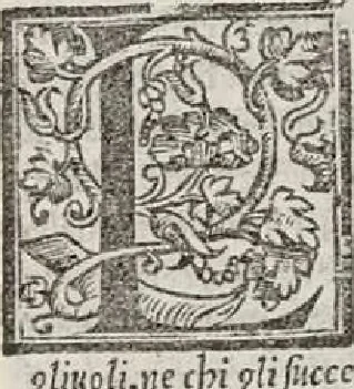 An illustration from Il Principe... La vita di Castruccio Castracani... Il modo che tenne il duca Valentino per ammazare Vitellozo, Oliverotto da Fermo, il S. Pagolo et il duca di Gravina... I ritratti delle cose della Francia et della Alamagna... Nuovamente aggiunti..., 1535, leaf 148