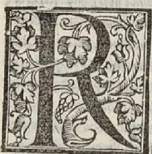 An illustration from Il Principe... La vita di Castruccio Castracani... Il modo che tenne il duca Valentino per ammazare Vitellozo, Oliverotto da Fermo, il S. Pagolo et il duca di Gravina... I ritratti delle cose della Francia et della Alamagna... Nuovamente aggiunti..., 1535, leaf 63