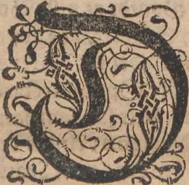 An illustration from Norriges oc omliggende Øers sandfoerdige Bescriffuelse..., 1632, leaf 14