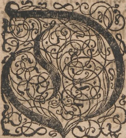 An illustration from Norriges oc omliggende Øers sandfoerdige Bescriffuelse..., 1632, leaf 8