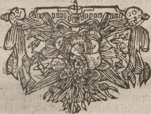 An illustration from Observationes juris practicae : thet är åthskillige påminnelser uthi rättegångs saker ... Kort beskriffning om thet som wid then Constantinopolitaniske resan är föreluppit, 1679, leaf 162